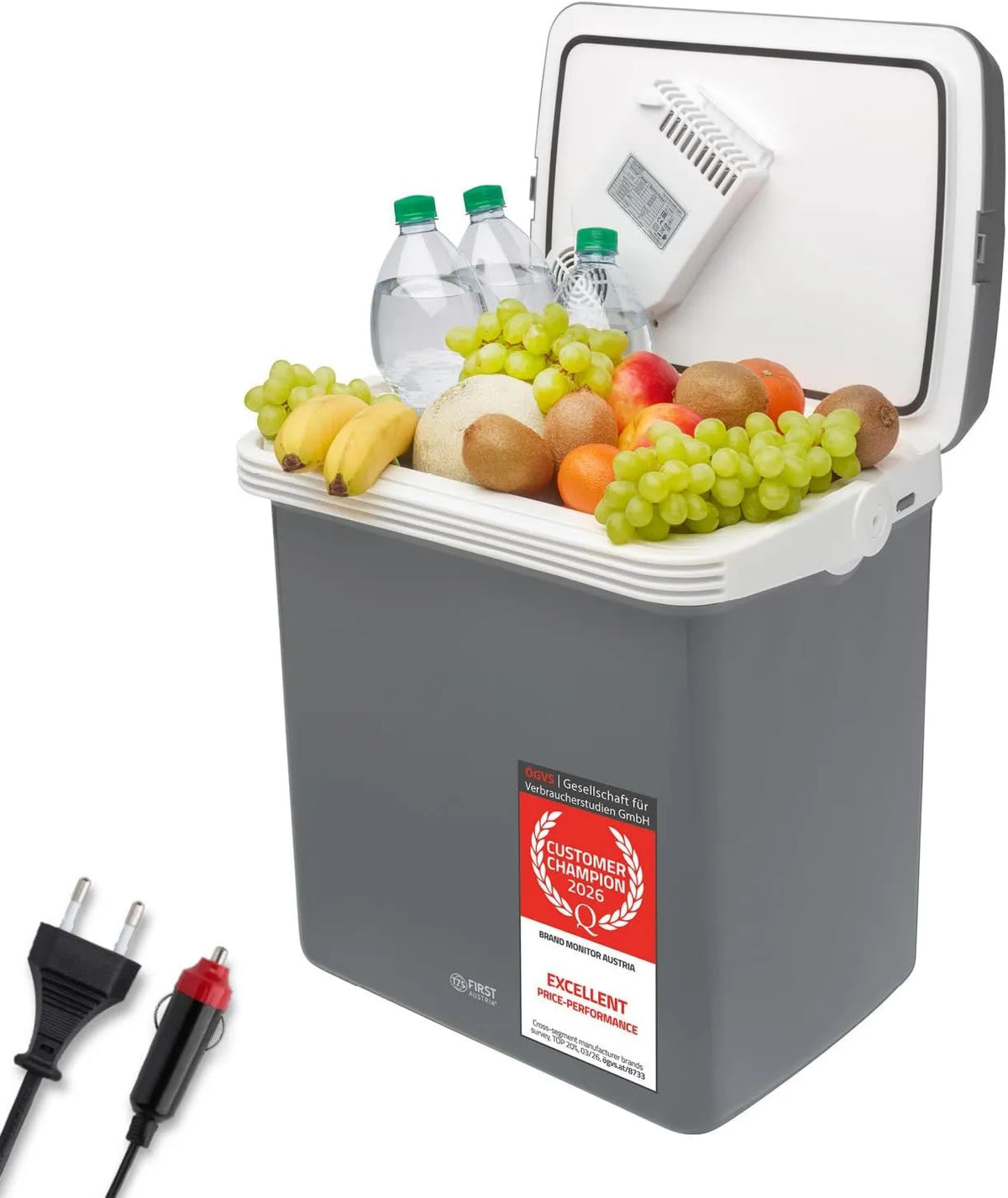 TZS First Austria, Elektryczna chłodnica 12 V / 230 V, 32 l, 12 V, cicha, samochód, kemping, mini przenośna lodówka, szary, - Elektryczna chłodnica 32 l 12 V/230 V