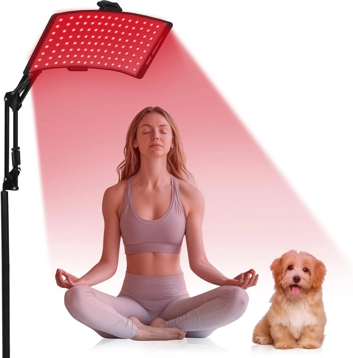 NIdreamCE, Uchwyt nm / 850, Lampa, 660 nm, 850 nm, licznik, czerwony, do pełnego użytku nm/850